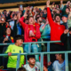 alain-hoeckx-bosuilstadion-wedstrijd-rode-duivels-wk-wild-idee